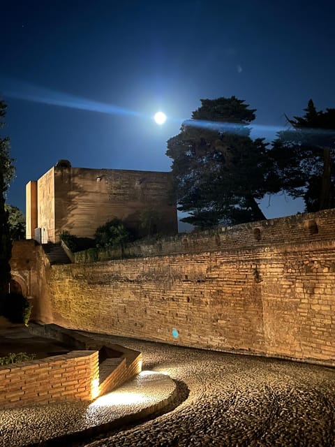From Nerja/Almunecar: Granada Full-Day Trip - Who should book this Granada day trip?