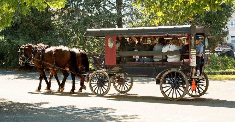 From NYC: Day Trip to Philadelphia and Amish Country - Key details that shape the day