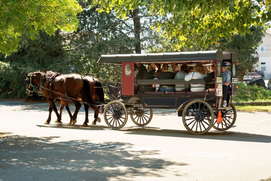 From NYC: Day Trip to Philadelphia and Amish Country - The Amish buggy ride through farm country