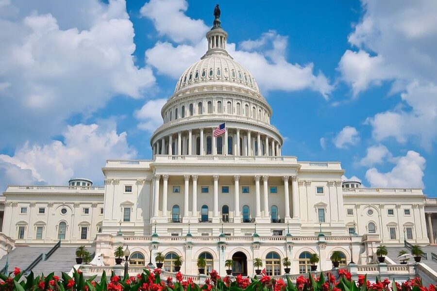 From NYC: Guided Day Trip to Washington DC by Van or Bus - Why this NYC to DC day trip works