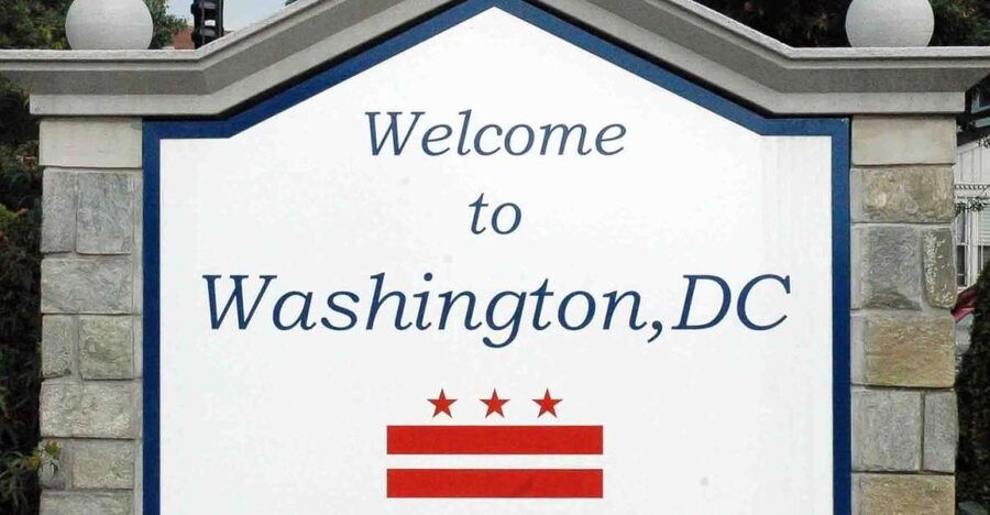 From NYC: Guided Day Trip to Washington DC by Van or Bus - Your 90 minutes near the National Mall