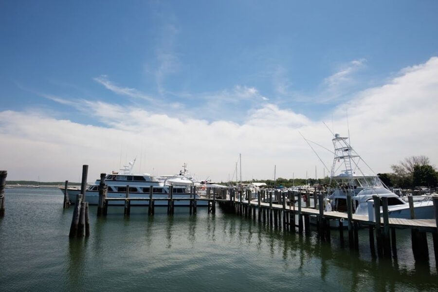 From NYC: Hamptons, Sag Harbor, and Outlet Shopping Day Trip - Wine tasting adds an adult break in Southampton