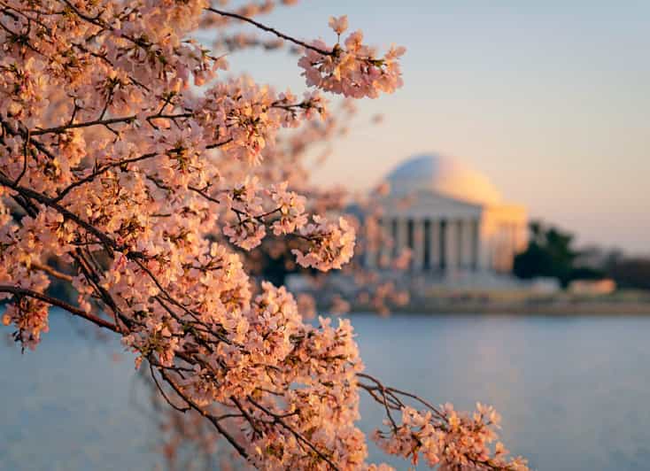 From NYC: Niagara Falls, Washington DC and Boston 4-Day Trip - Key points at a glance