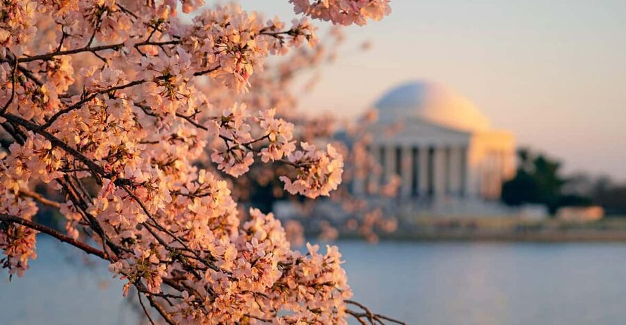 From NYC: Niagara Falls, Washington DC and Boston 4-Day Trip - Washington DC, from the Capitol to the memorials