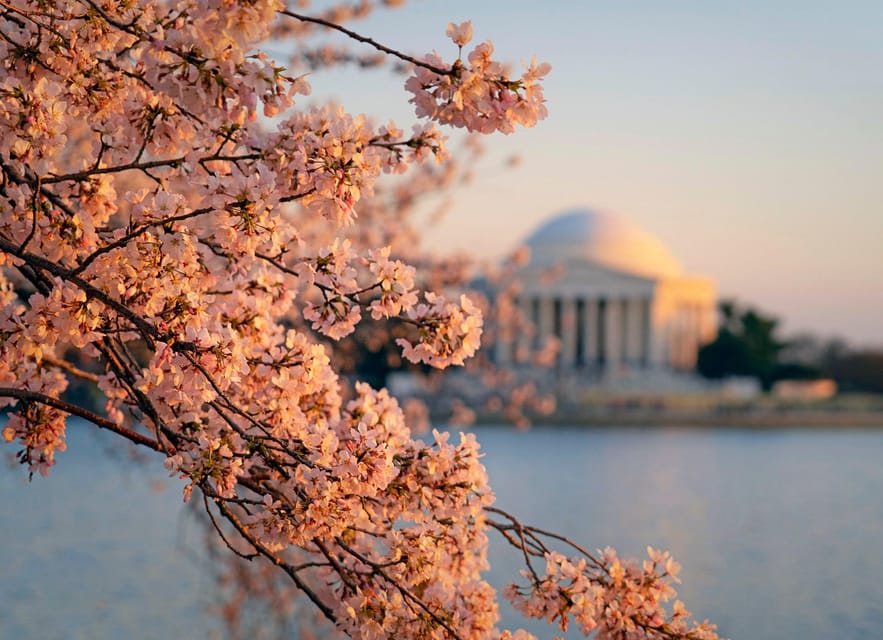 From NYC: Niagara Falls, Washington DC and Boston 4-Day Trip - Niagara Falls after dark