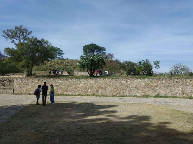 From Oaxaca: Monte Alban, Alebrijes & Black Clay Day Trip - The buffet is convenient, but budget for it