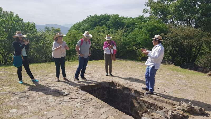 From Oaxaca: Monte Alban, Alebrijes & Black Clay Day Trip - Who should book this Oaxaca tour?