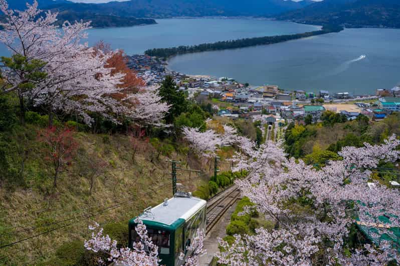 From Osaka: Amanohashidate and Ine Bay Day Trip - Why Amanohashidate makes a worthwhile day trip from Osaka