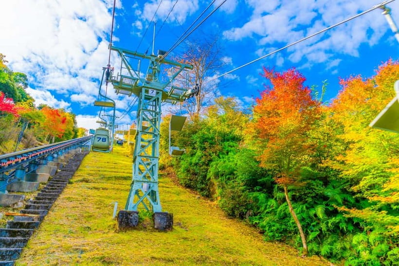 From Osaka: Amanohashidate and Ine Bay Day Trip - Is the $83 price good value?