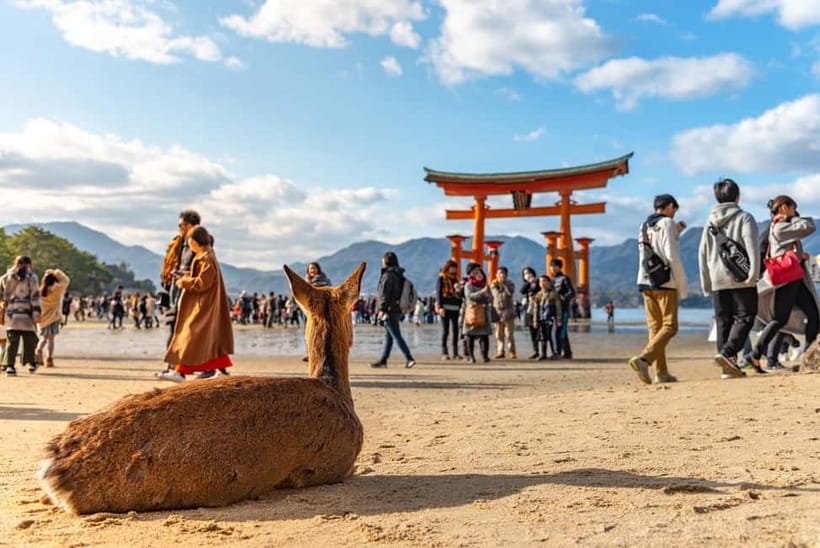 From Osaka: Hiroshima and Miyajima Day Trip by Bullet Train - First stop: Miyajima and Itsukushima Shrine