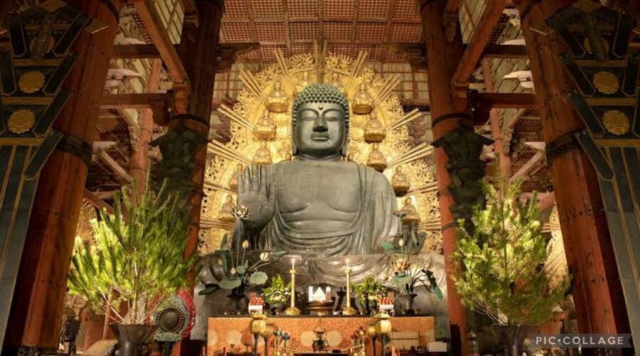 From Osaka/Kyoto: Private Kyoto & Nara Day Trip with Pickup - What the private vehicle changes