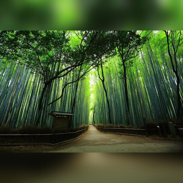 From Osaka/Kyoto: Private Kyoto & Nara Day Trip with Pickup - Nara Park and Tōdai-ji: deer first, Buddha next