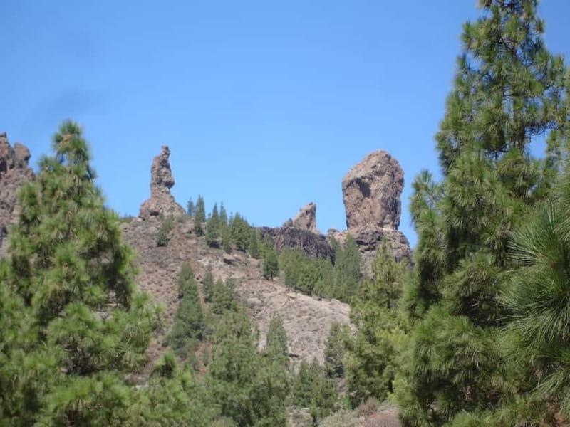 From Palmas: Pico de las Nieves & Roque Nublo Full-Day Trip - Bandama crater: a strong opening stop