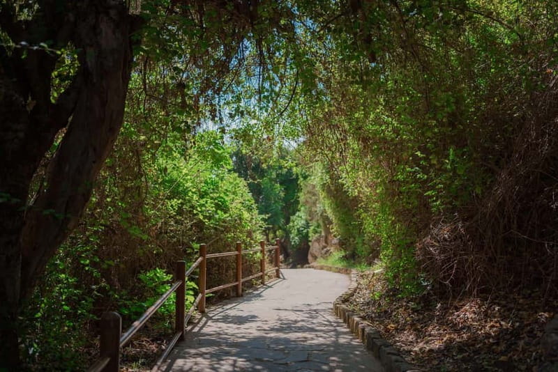 From Paphos: Blue Lagoon and Baths of Aphrodite Day Trip - Why this Paphos day trip works so well