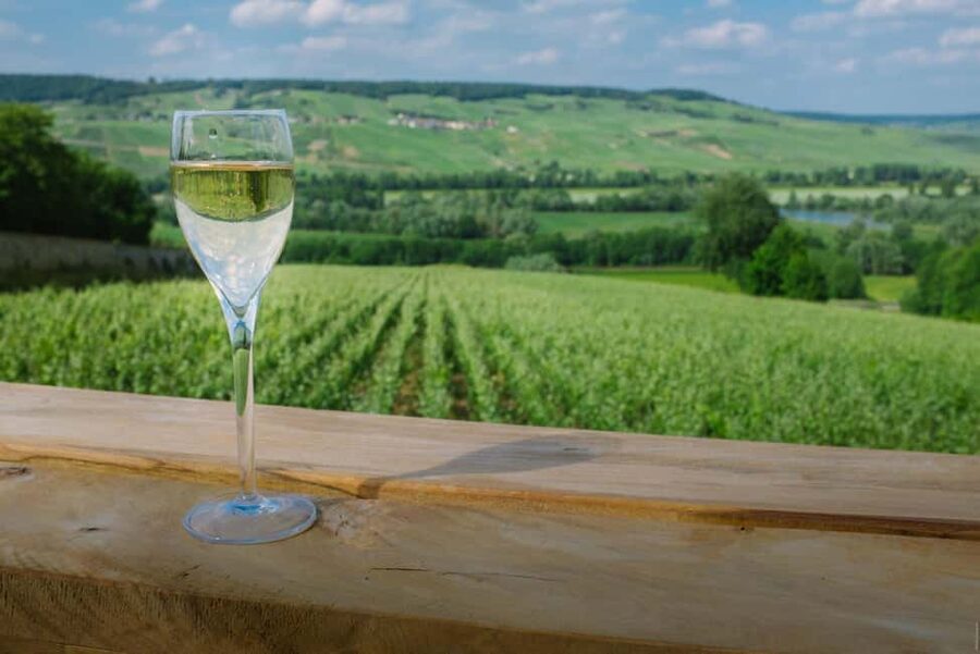 From Paris: Champagne Day Trip with 7 Tastings and Lunch - A Family Estate and the Human Side of Champagne