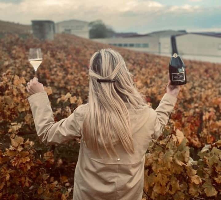 From Paris: Champagne Day Trip with 7 Tastings and Lunch - The Return to Paris and the Cost of the Day