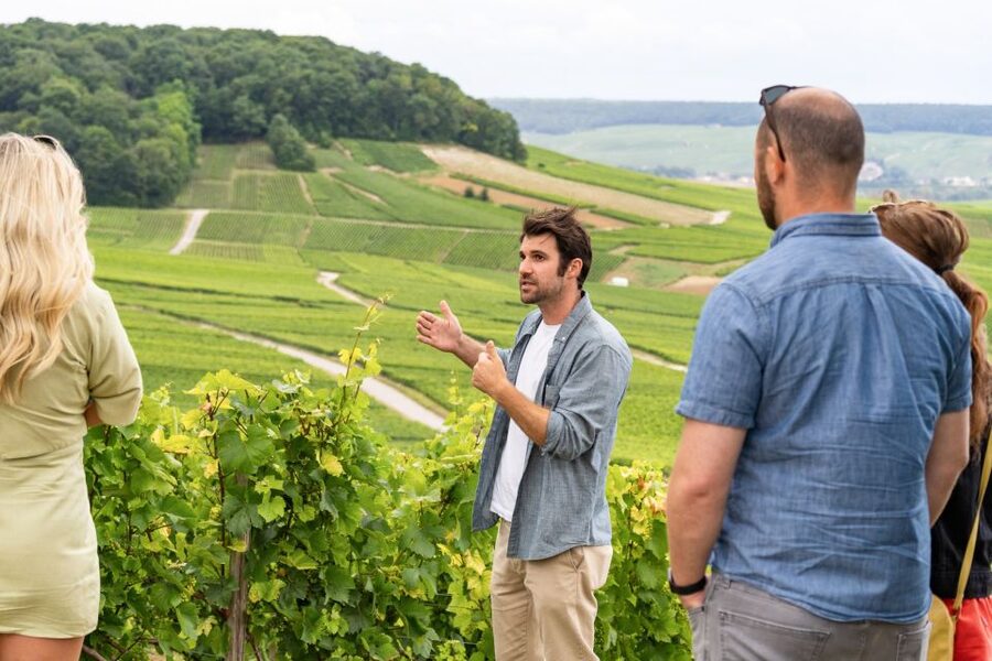From Paris: Day Trip to Champagne with 8 Tastings & Lunch - The second producer and the value of comparison