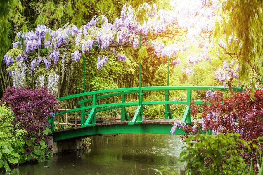 From Paris: Giverny and Versailles Palace Guided Day Trip - Who will enjoy this day trip most?