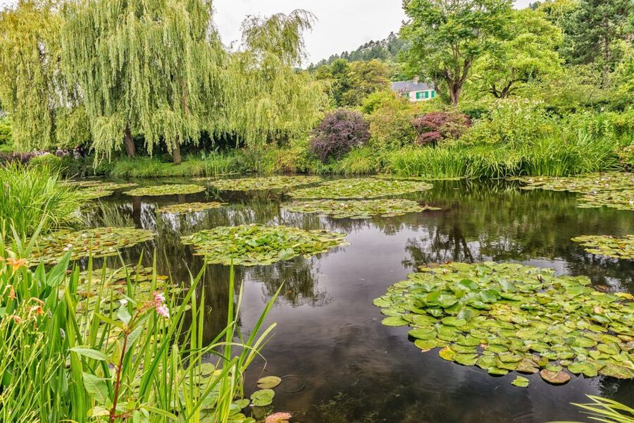 From Paris: Guided Day Trip to Monet's Garden in Giverny - Monet’s Water Garden and the famous pond