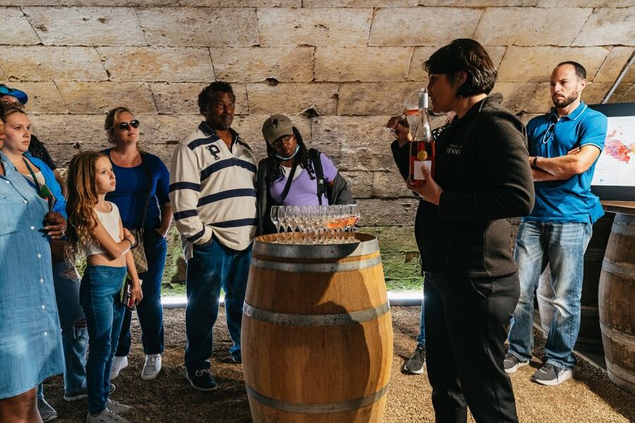 From Paris: Loire Valley Castles Day Trip With Wine Tasting - Why this 13-hour Loire trip works from Paris