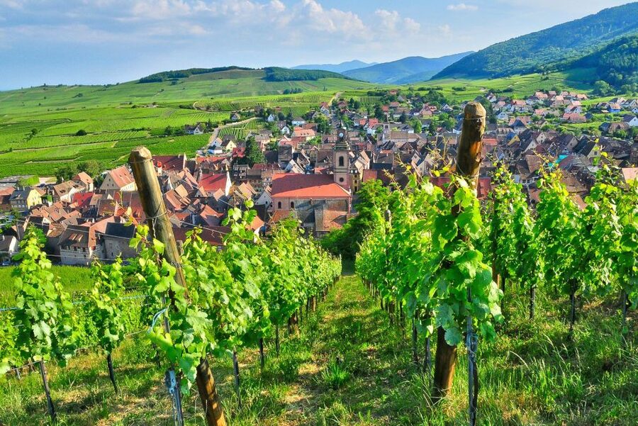 From Paris: Small-Group Champagne Day Trip with Six Tastings - Hautvillers and Dom Pérignon