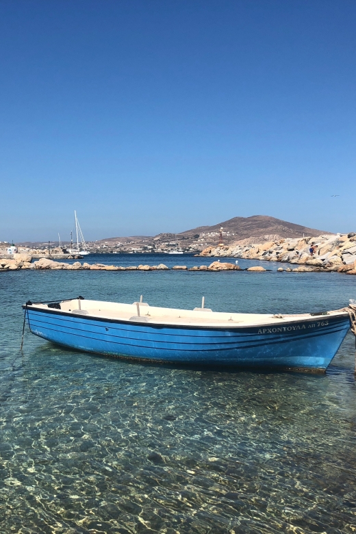 From Paros: Mykonos Full-Day Trip - Who should take this day trip?