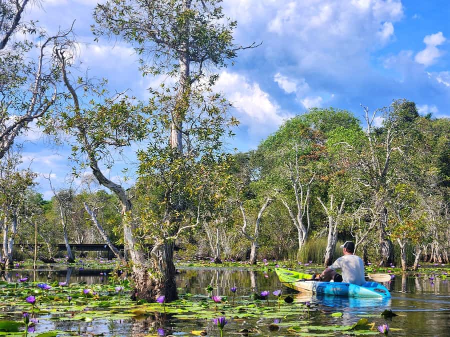 From Pattaya: Rayong Adventure Hike and Kayak Day Trip - A full day beyond Pattaya