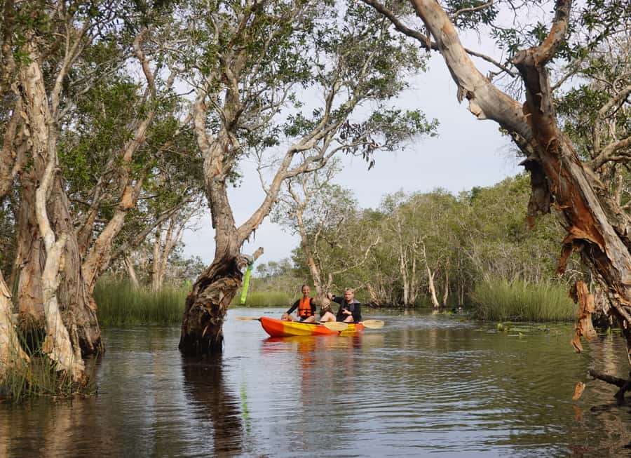 From Pattaya: Rayong Adventure Hike and Kayak Day Trip - Tung Prong Thong and the golden mangroves