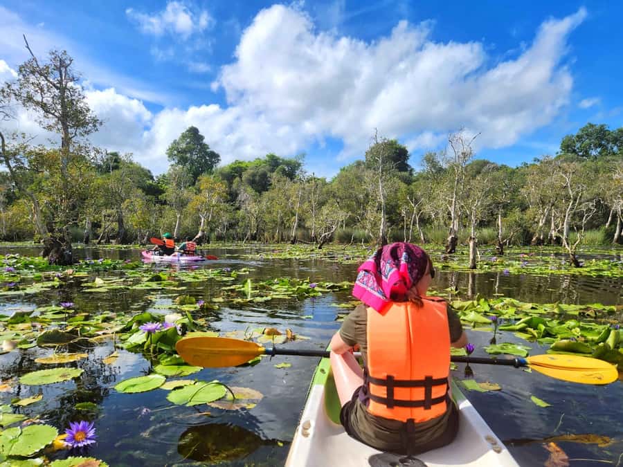 From Pattaya: Rayong Adventure Hike and Kayak Day Trip - Why the guide matters on this trip