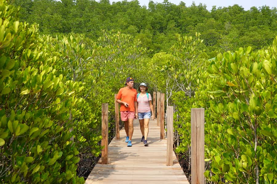From Pattaya: Rayong Adventure Hike and Kayak Day Trip - The value of the $353 group price