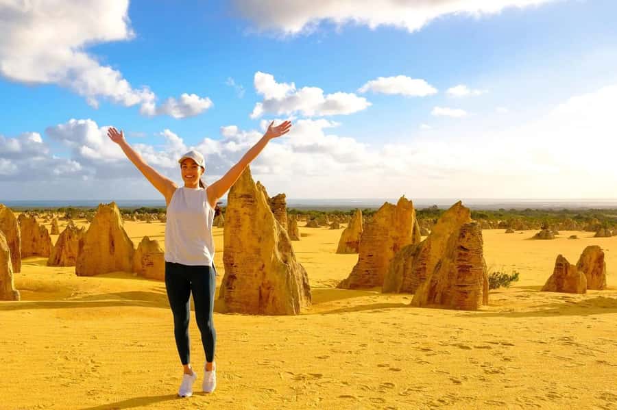 From Perth: Pinnacles Lobster Shack and Yanchep Day Trip - Key points at a glance