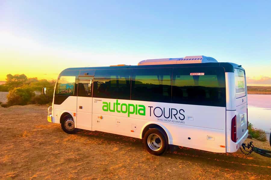 From Perth: Pinnacles Lobster Shack and Yanchep Day Trip - Lake Thetis and ancient stromatolites