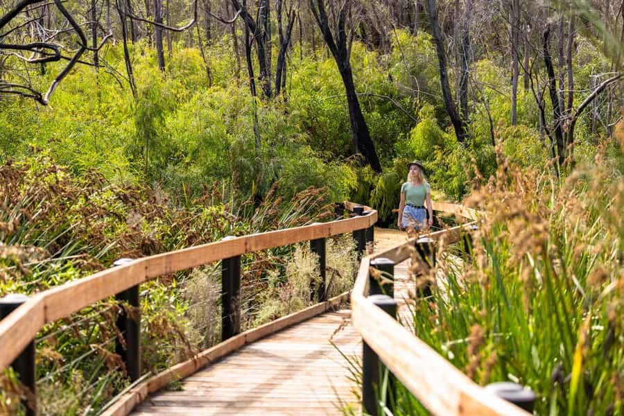 From Perth: Pinnacles Lobster Shack and Yanchep Day Trip - The ride back to Perth