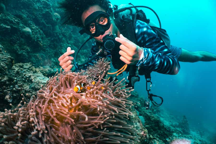From Phi Phi: Beginner Scuba Diving Day Trip with 2 Dives - What this Phi Phi beginner scuba trip is really like