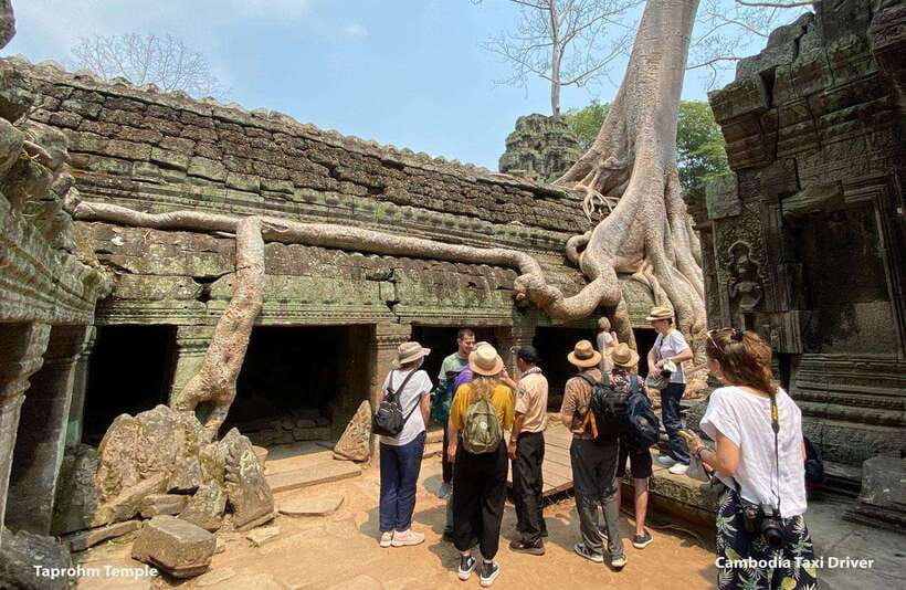 From Phnom Penh: Angkor Wat, Bayon, and Ta Prohm Day Trip - Ta Prohm, where the jungle takes over