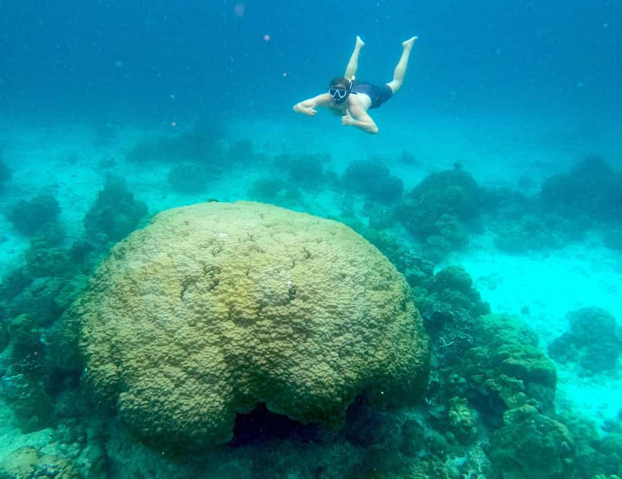 From Phuket: Day Trip to Phi Phi with Private Longtail Tour - Who should book this Phi Phi day trip?