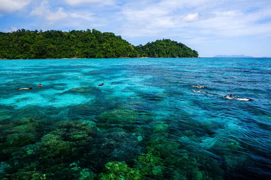 From Phuket/Khaolak: Surin Islands Snorkeling Day Trip - Meeting the Moken community