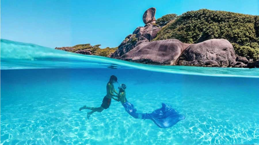 From Phuket or Khaolak : Similan Islands Day Trip - Quick points before you book