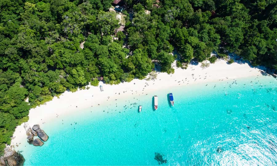 From Phuket or Khaolak : Similan Islands Day Trip - Miang Island and the Thai buffet