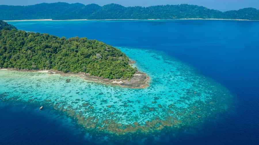 From Phuket or Khaolak: Surin Islands Day Trip - The Moken village adds a human side