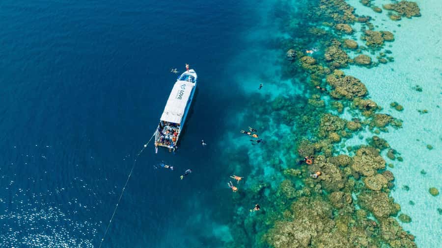From Phuket or Khaolak: Surin Islands Day Trip - Mae Yai Gulf and Tao Gulf finish the snorkeling