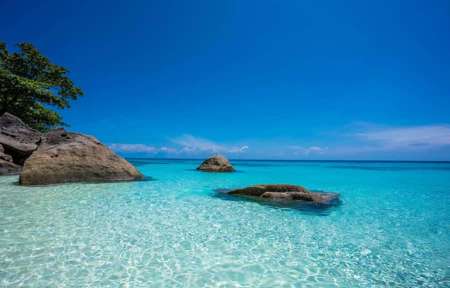From Phuket: Similan Islands Day Trip - Lunch and beach time on Island 4