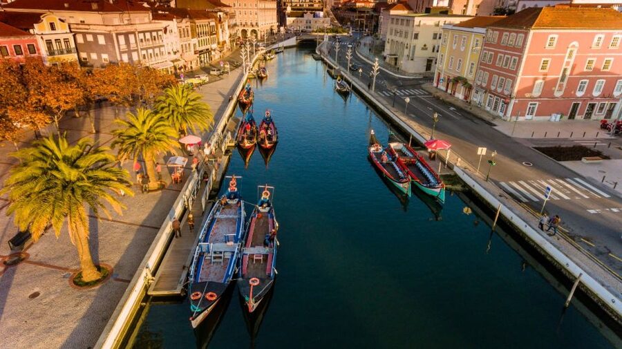 From Porto: Aveiro Private Guided Day Trip - Lunch and Aveiro’s Local Flavors