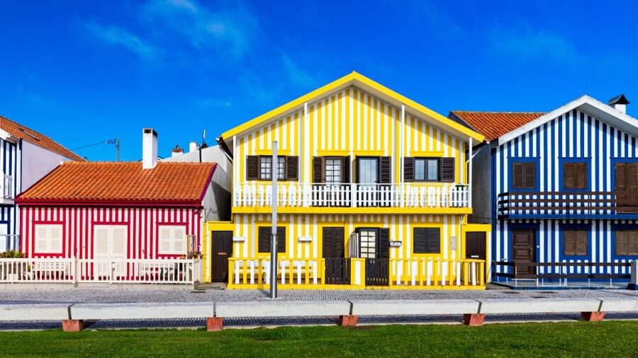 From Porto: Aveiro Private Guided Day Trip - What the Guides Add to the Day