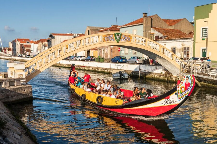 From Porto: Aveiro Private Guided Day Trip - What Is Not Included