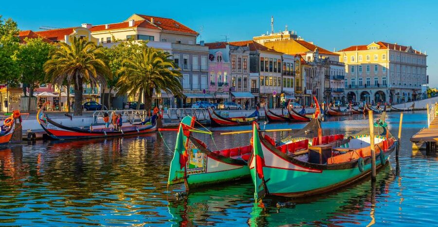 From Porto: Aveiro Private Guided Day Trip - Aveiro’s Canals and the Moliceiro Boats
