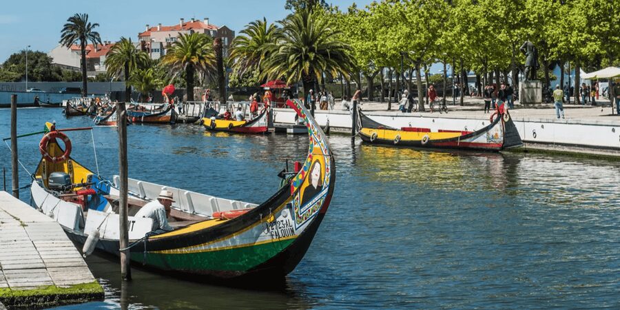 From Porto: Full-Day Trip to Coimbra & Aveiro with Boat Ride - Coimbra: old capital, student city