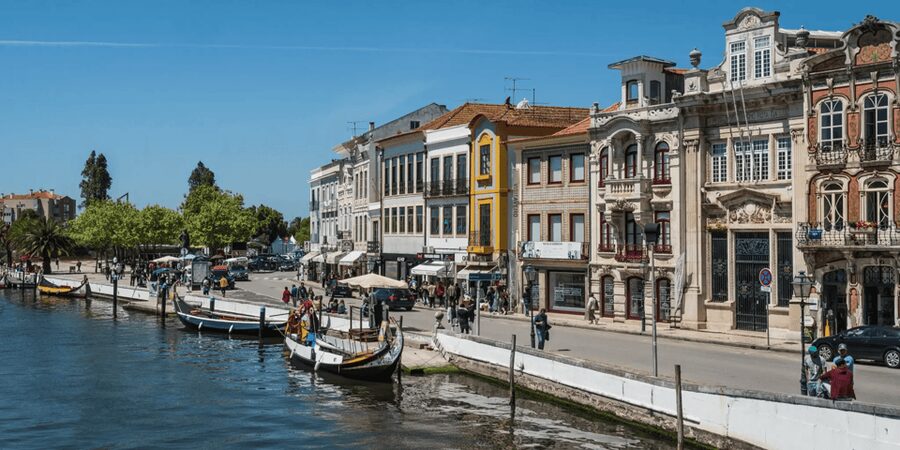 From Porto: Full-Day Trip to Coimbra & Aveiro with Boat Ride - The University of Coimbra in 40 minutes