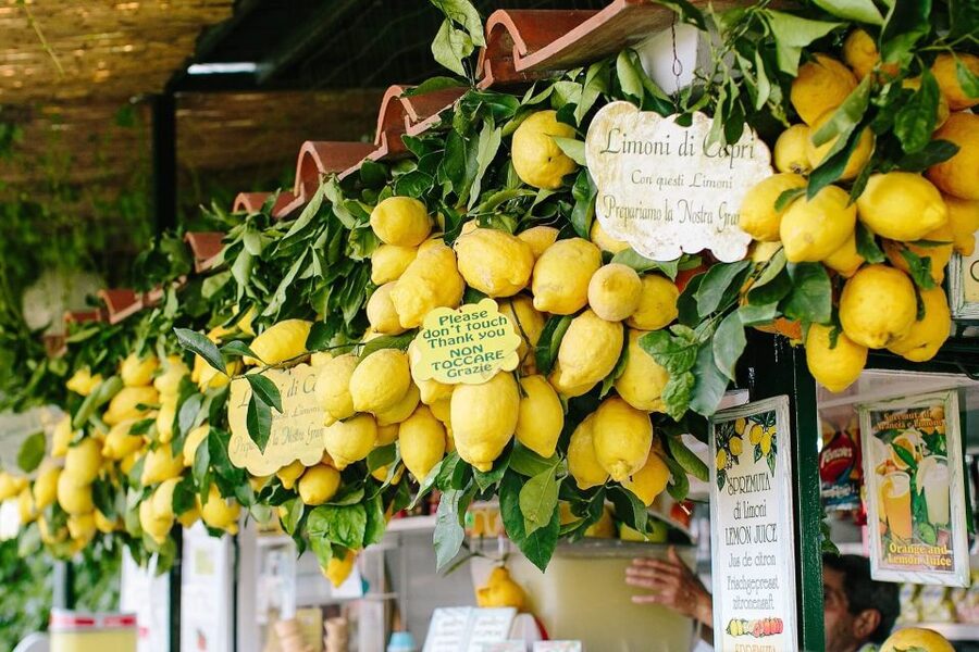From Positano: Sorrento Coast & Capri Full-Day Trip by Boat - Practical details that can make or break the day