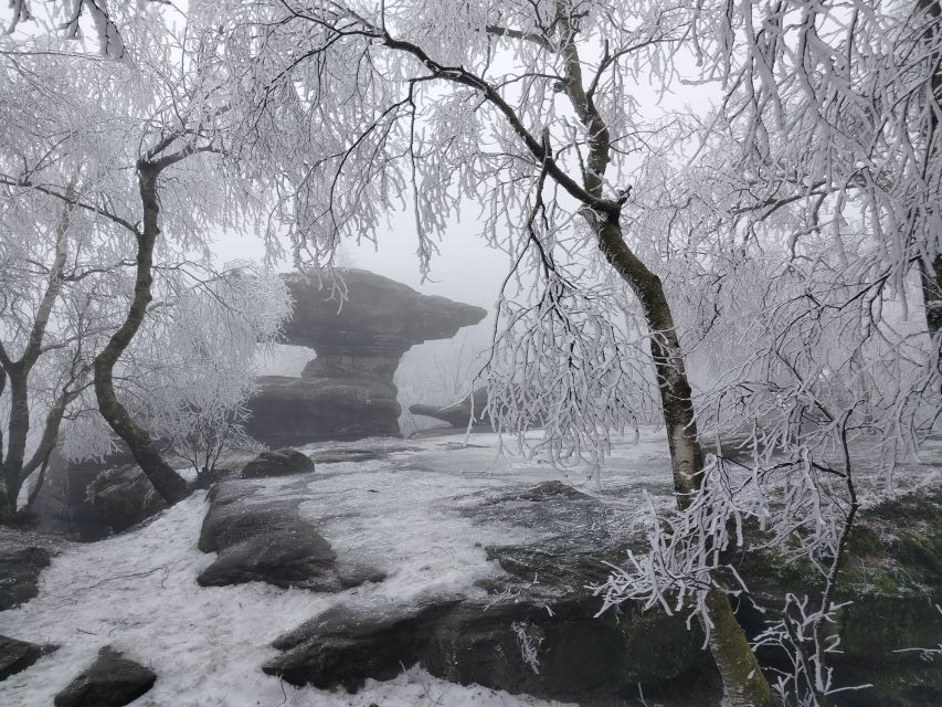 From Prague: Bohemian & Saxon Switzerland Iconic Day Trip - Tisa Rocks and the final walk